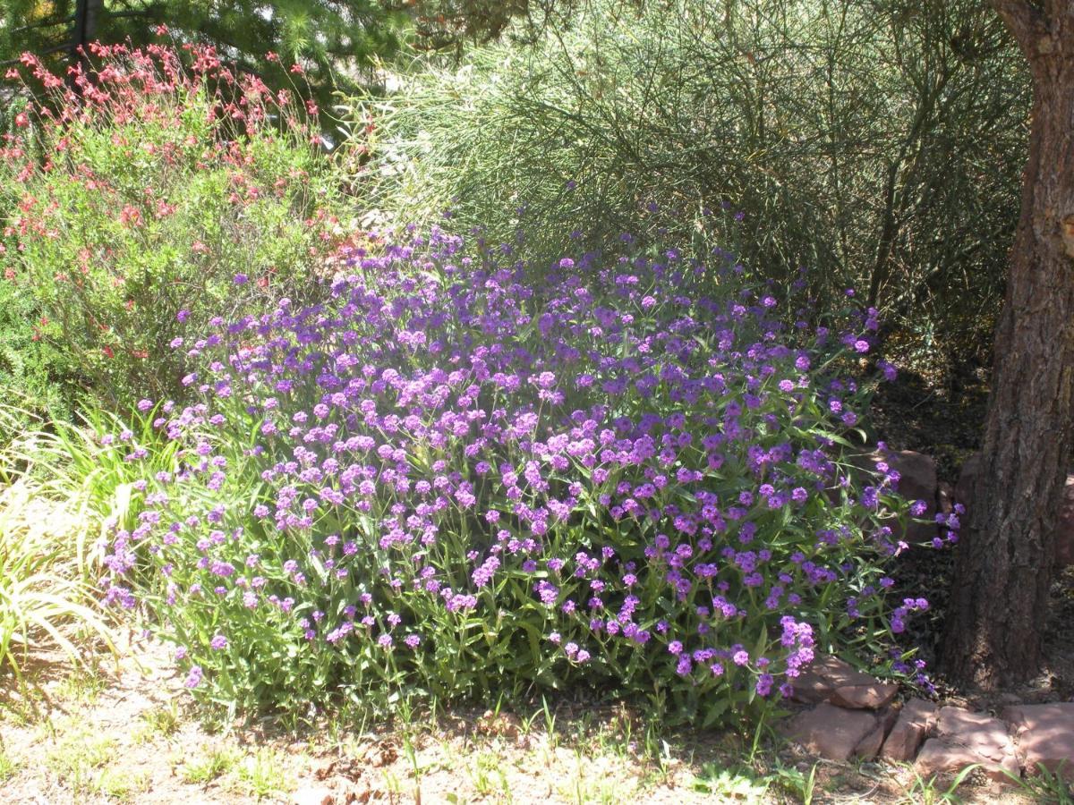 Alma De Sedona Inn B&B ภายนอก รูปภาพ